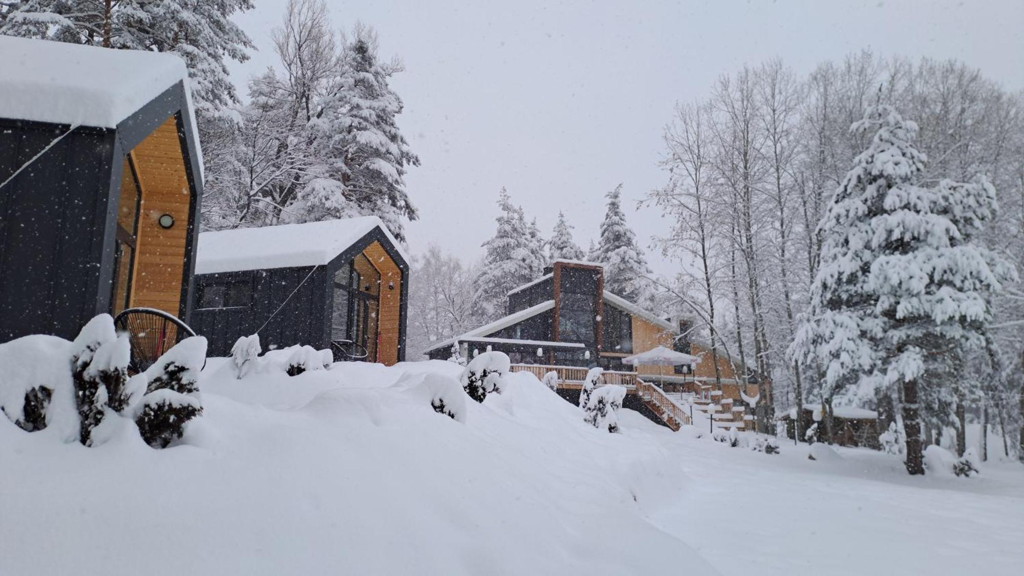 Saint Constantine Mountain Retreat Пештера